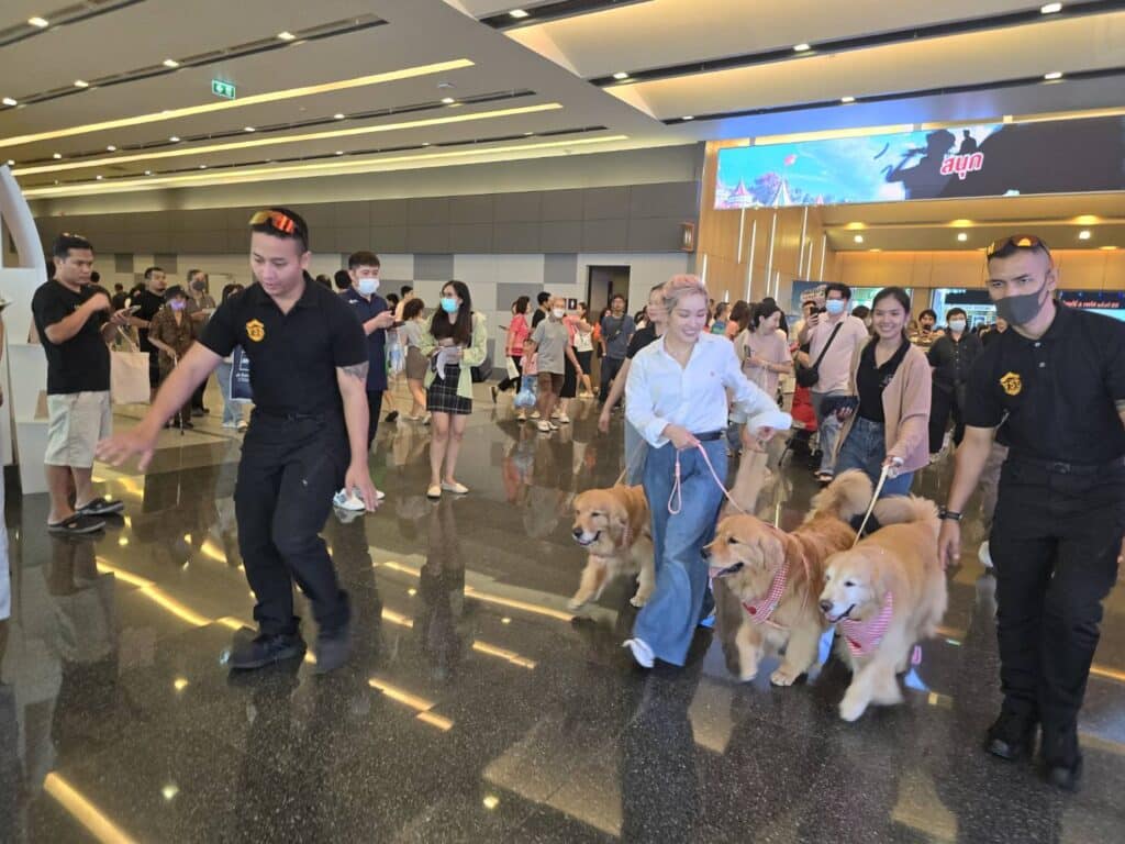 งานบอดี้การ์ด Lion