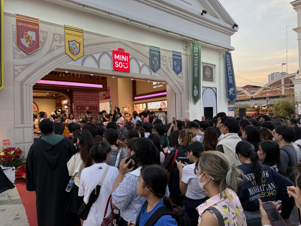 งานบอดี้การ์ด VSD