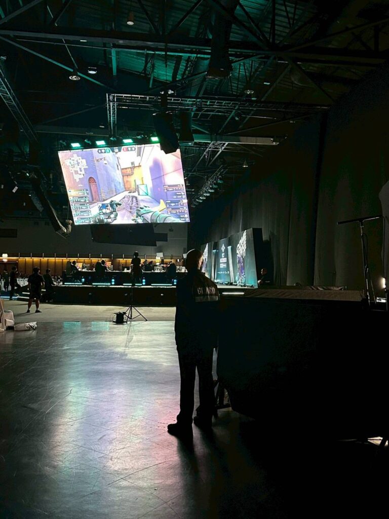 บอดี้การ์ด VSD